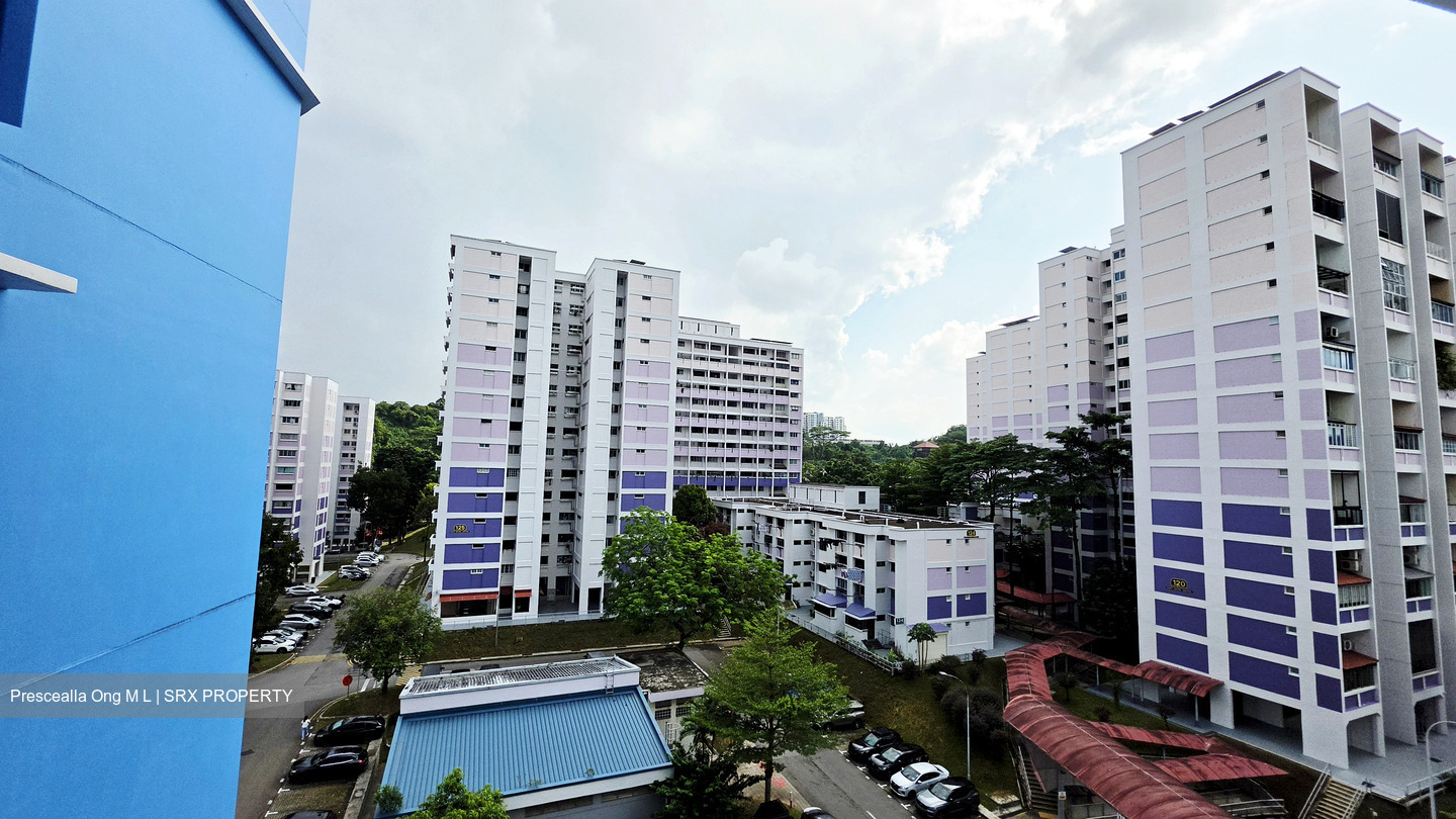 Blk 119 Bukit Batok West Avenue 6 (Bukit Batok), HDB 4 Rooms #579703341